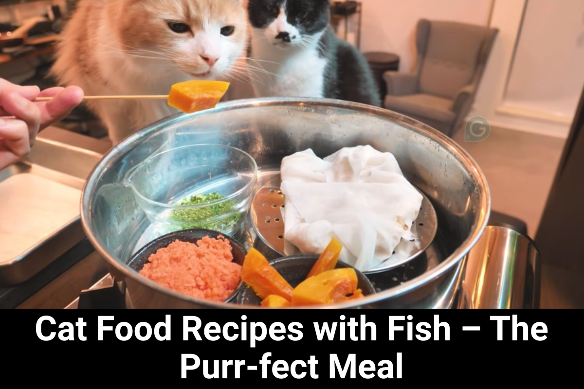 Cat Food Recipes with Fish – The Purr-fect Meal