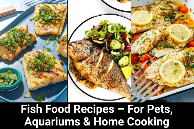 Fish Food Recipes – For Pets, Aquariums & Home Cooking