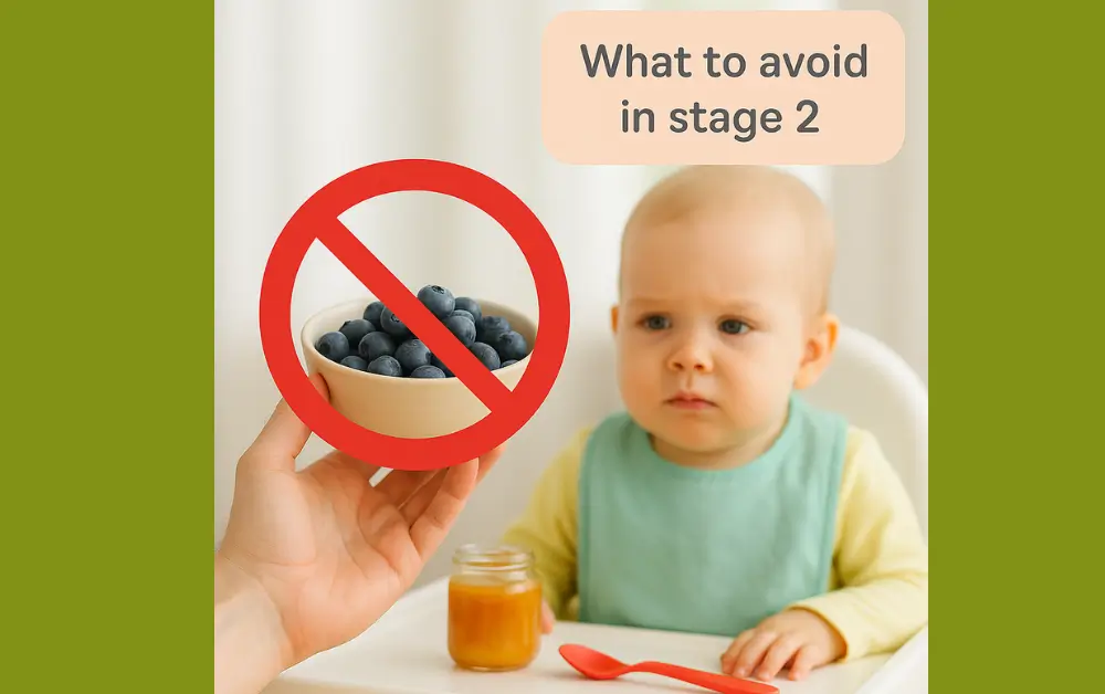 stage 2 baby food,
