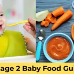 stage 2 baby food,