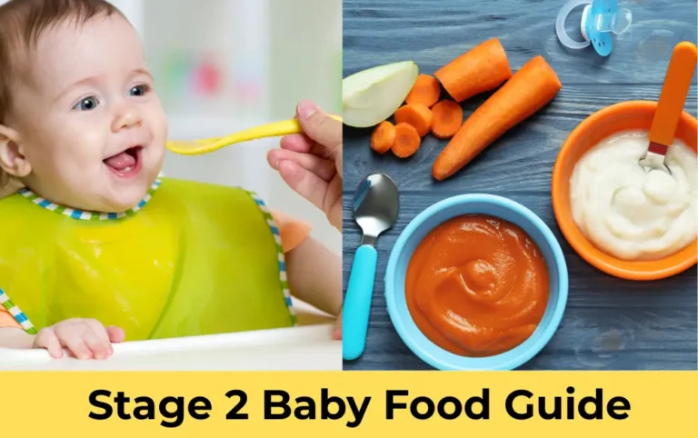 stage 2 baby food,