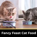 fancy feast cat food,