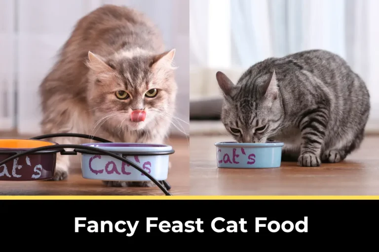 fancy feast cat food,