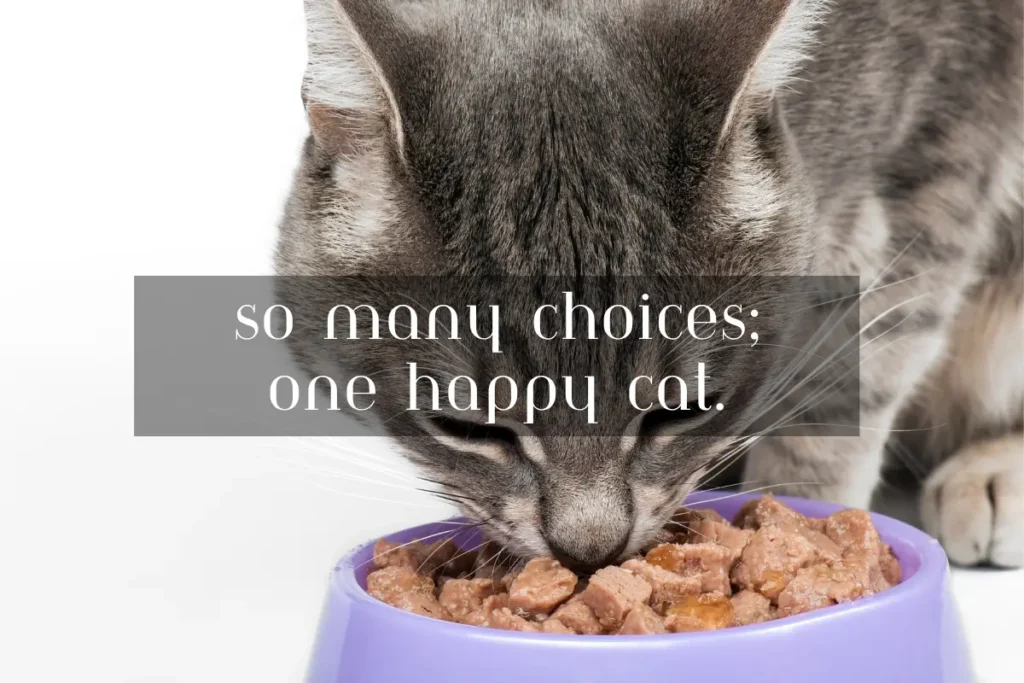 Is Fancy Feast Good for All Cats?