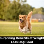 weight loss dog food,